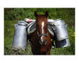 Work Horse Art on the Verge Animals