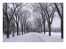 Winnipeg Manitoba, Canada Winter Scenes
