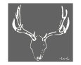 Grey Moose Art on the Verge Animals