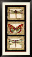 Winged Panel II