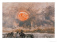 Fierce Sun