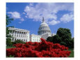 Capitol Building, Washington, D.C., USA