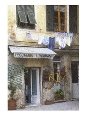 Laundry on the Line Above a Storefront