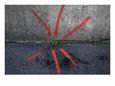 Neon Paint Points to a Plant Emerging from a Crack in the Sidewalk
