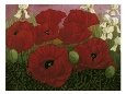 Poppies and White Irises