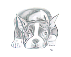 The Terrier Art on the Verge Animals