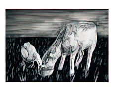 Best Friends Art on the Verge Animals