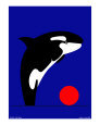 Wildlife - Killer Whale