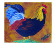 Rooster