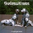 Dalmatians