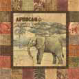 Safari II