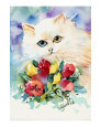 Odd Eye White Persian Cat