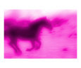 A Pink Horse