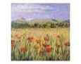 Tuscany Poppies