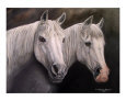 Arabian Mares
