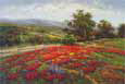 Campo di Fiore II