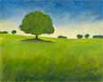 Paysage X