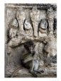 A Young Long-Tailed Macaque Sits Alone While Enjoying a Treat at Wat Prang Sam Yot