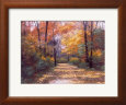 Autumn Road Scenic Streets & Roadways