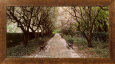 Esplanade Scenic Streets & Roadways