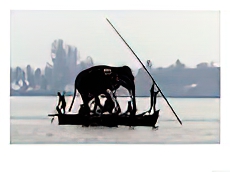 An Elephant is Taken on a Small Boat to a Temple Festival
