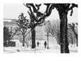 Winter, Mirabellgarten, Salzburg, Austria