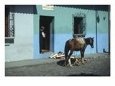 Street Scene with Horse, Antigua City, Guatemala