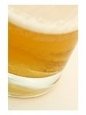 Glass of Beer