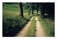 Country Road, Basel-land, Switzerland