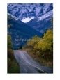 Road to Red Rock Canyon, Waterton Lakes National Park, Alberta, Canada