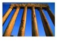 Columns of the Acropolis, Baalbek, Al Biqa, Lebanon