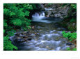 River in Springtime in Aomori-Ken, Shirakami Sanghi, Japan
