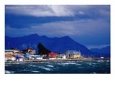 Shore of Seno Ultima Esperanza (Last Hope Sound), Patagonia, Puerto Natales, Chile