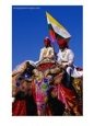 Decorated and Painted Elephants Posing for Judges at Annual Elephant Festival, Jaipur, India