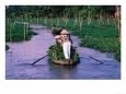 Women Rowing to the Market on the Mekong Delta, Vietnam