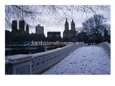 Central Park in Winter, New York City, New York, USA