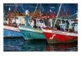 Fishing Boats Lined Up, Ko Samui, Surat Thani, Thailand