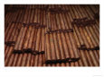 Stacks of Cigars in a Cigar Factory, Havana, Cuba