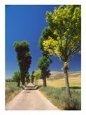 Pilgrimage Road, El Camino de Santiago de Compostela, Castile, Spain