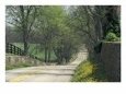 Old Iron Works Road, Lexington, Kentucky, USA