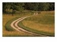 Road Winding through Meadow, Kentucky, USA