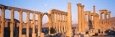 Ruins, Palmyra, Syria