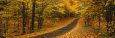 Autumn Road, Emery Park, New York State, USA