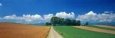 Field with Road, Hokkaido, Japan
