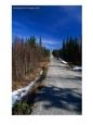Road Through Forest, Lappi, Finland