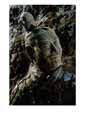 Close View of the Head of One of the Terra-Cotta Warriors