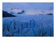 A View of the Moreno Glacier in Patagonia, Argentina