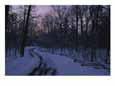 Dawn View of a Snow-Covered Road Scenic Streets & Roadways