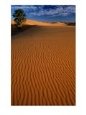 Erg Chebbi, on Edge of the Sahara Desert, Merzouga and the Dunes, Er-Rachidia, Morocco