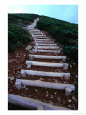 Wooden Steps on Mt. Hakkoda-San Hiking Trail in Aomori-Ken, Mt. Hakkoda-San, Japan